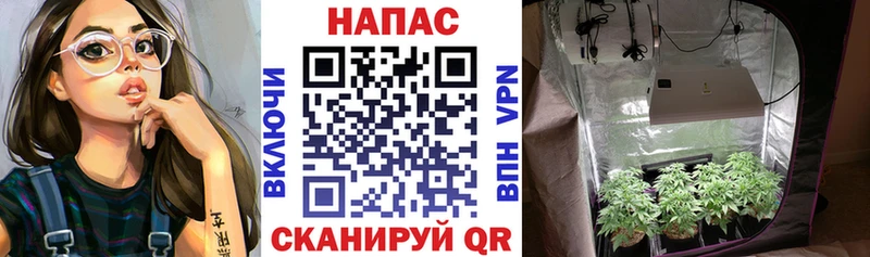 Купить  Пролетарск  Марихуана AK-47 